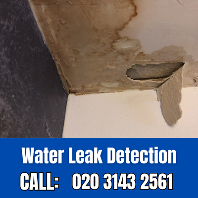 Expert Water Leak Detection Services in Bedmond | Bedmond Leak Detection